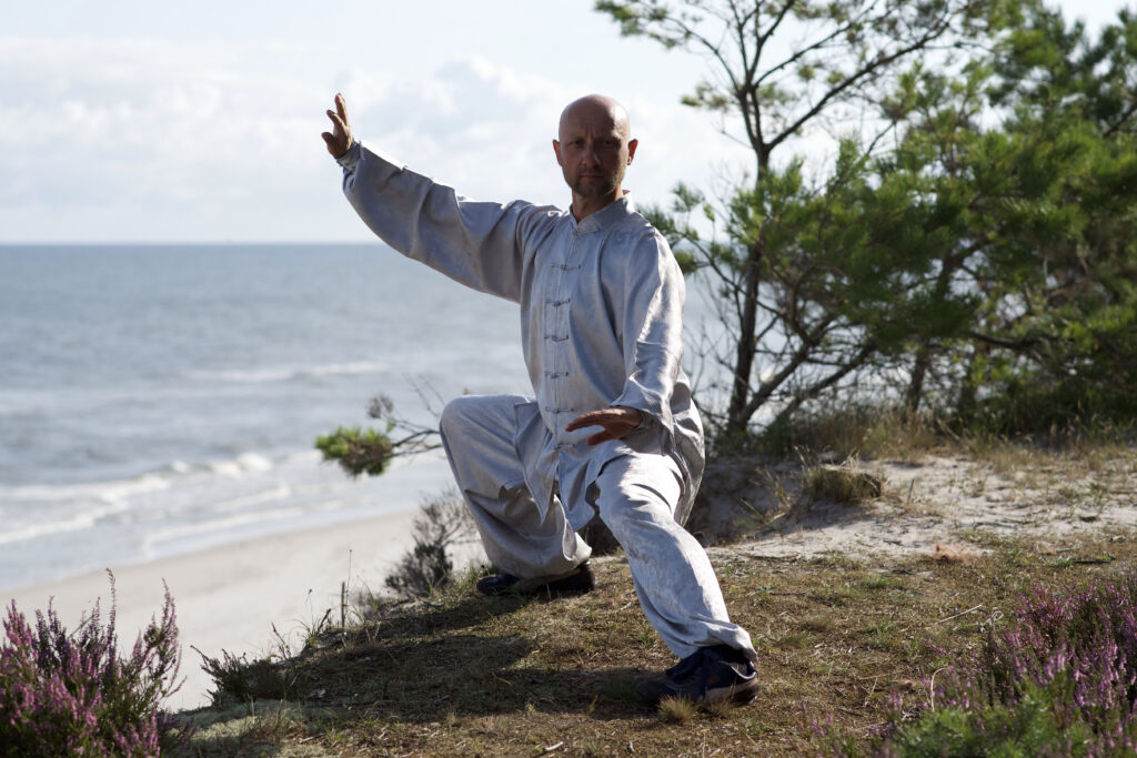 08.04.2018 – Chen Taijiquan – tuishou oraz korekty Laojia Yilu
