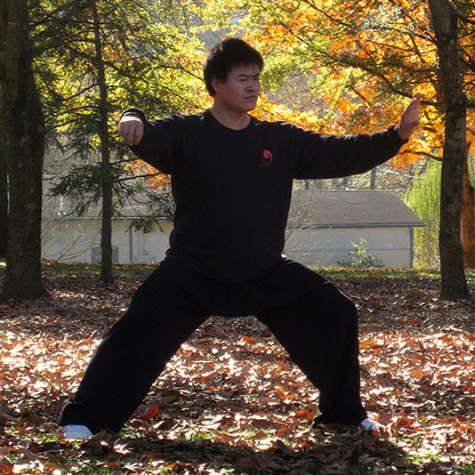 24-25.11.18 – Seminarium z Mistrzem Wang Haijunem