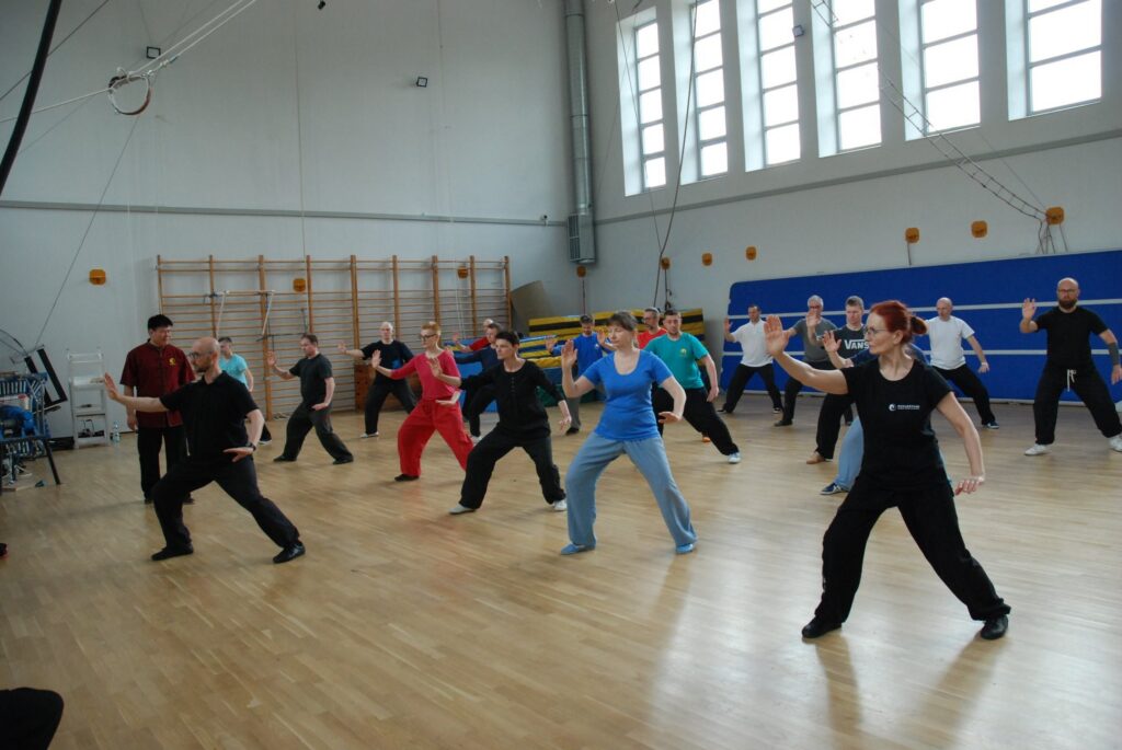 22.03.2020 –  przełożony – Warsztat – Tuishou (pchające ręce)
